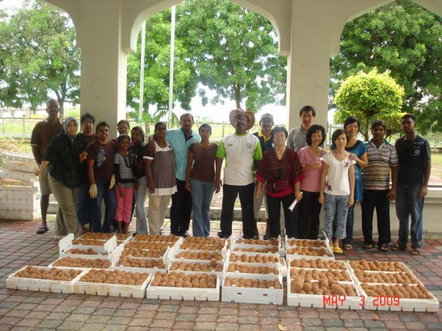 2,700 biji EM Mud Ball berjaya dibuat oleh penghuni Taman Desa Damai pada 3-5-2009